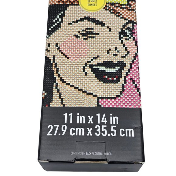 🎀 Cowgirl Diamond Art Kit 11" x 14" w. Magnetic Frame NEW - Picture 4 of 10